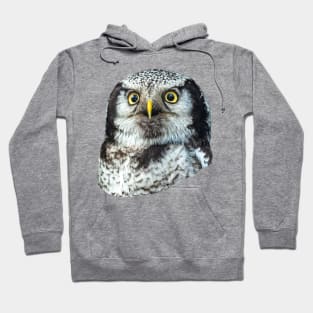 Eyes of a Northern Hawk Owl Hoodie